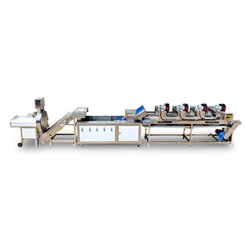Baixa eficiência na produção de salada? Veja como a Tengsheng Machinery resolve esse desafio