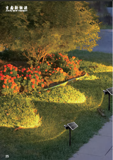 Adjustable focus camera