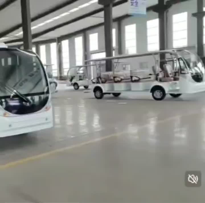 11 seater high-capacity sightseeing bus