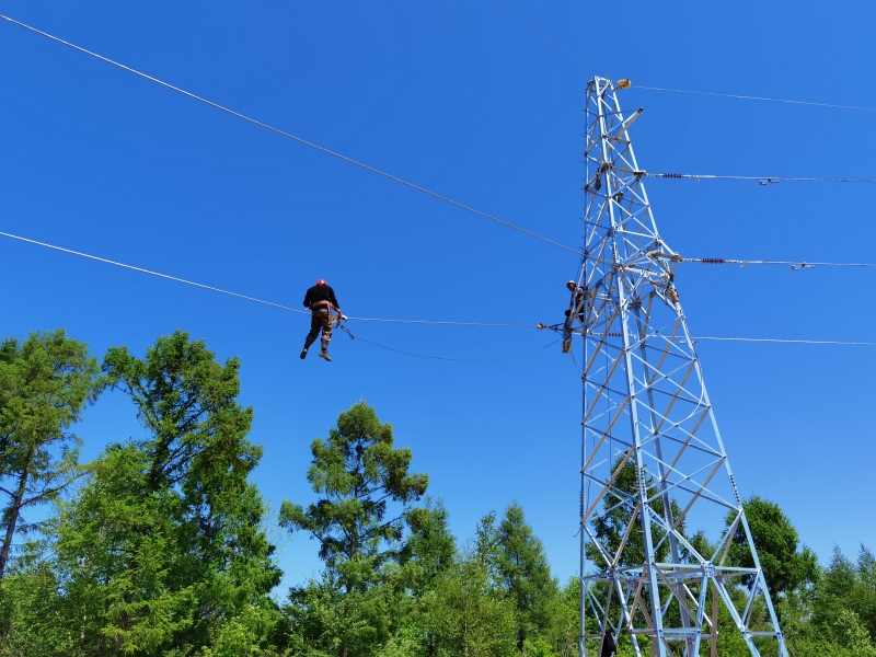 Jilin Nengxing Electrical Equipment Co. Ltd.