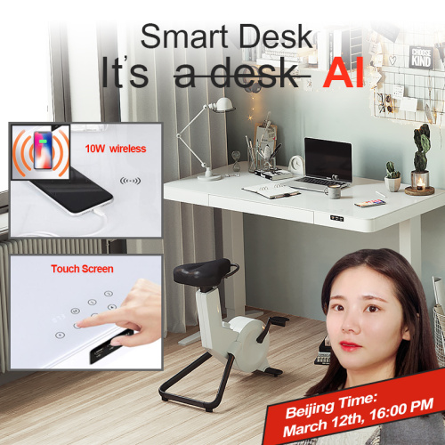 Hollin Furniture-Smart AI Standing Desk Supplier