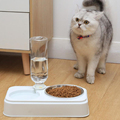 Sunsun 2-en-1 Pet Waterer Gato Dispensador Automático Alimentación de perros Tazón de agua Almacenamiento de agua Pet Dog Food Food Bowl1
