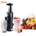 Vertical Fruit Cold Press Juicer Extractor Machine1