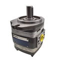Voith IPV IPVP Series Hydraulic Internal Gear Pumps1