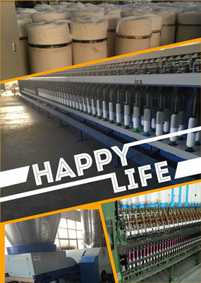 SHIJIAZHUANG PEIGE CO.,LTD