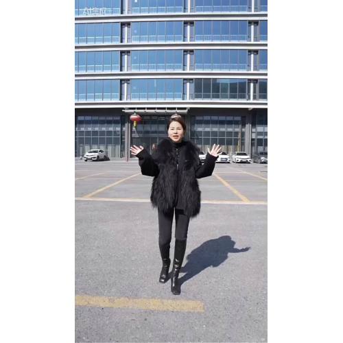 Sunflower Introduction Video