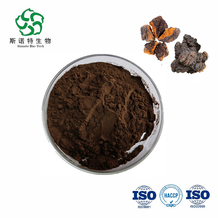 Inonotus obliquus extract powder SINUOTE