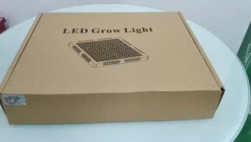 1000W video