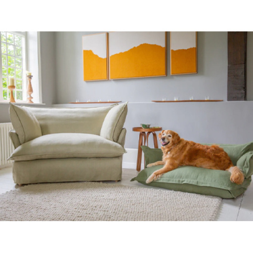 Global Pet Sofa Market Booms Driven by Pet Humanization and Sustainable Innovation