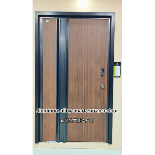 אַלומינום צומיש אַרייַנגאַנג טיר