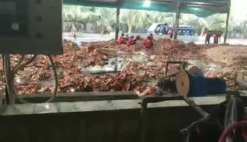 production line