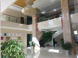 Ningbo Feter Electrical Appliance Co., Ltd.