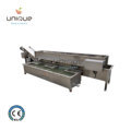 Hot Sale Alfalfa and Micro Greens Vegetable Bubble Washing Machine1