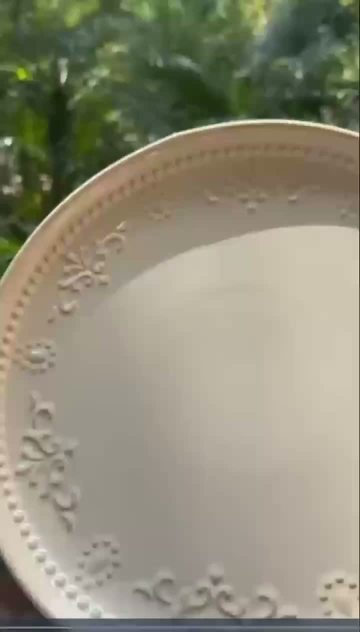 European Style Dinner Plate