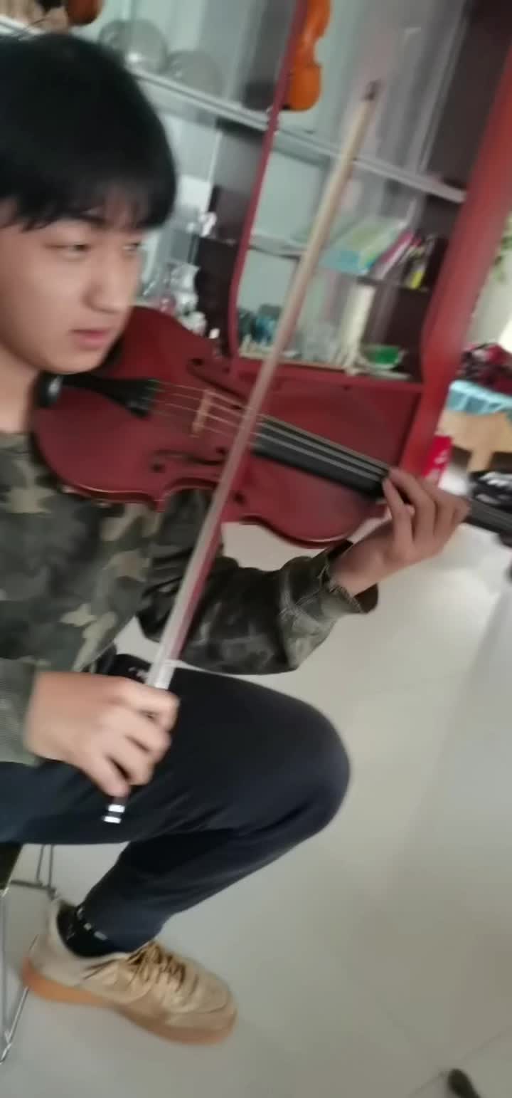 Un violín de nivel