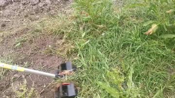 除草轮