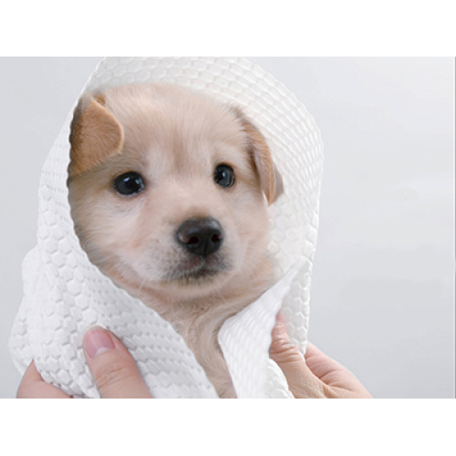 Nonwoven Fabric Finished Product Expansion Intention: Pet Cleaning and Grooming Industry