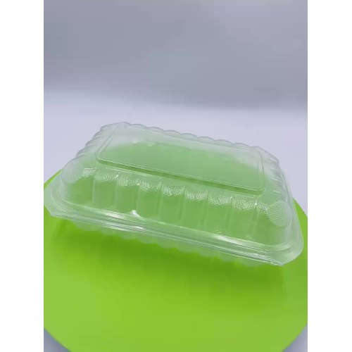 scatola da pranzo di plastica