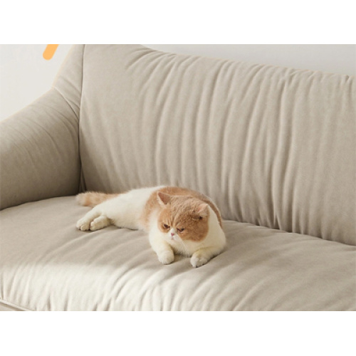 2026 Global Pet Sofa Industry Flourishes: Aesthetic Upgrade, Functional Innovation and Eco-Friendly Trends Drive Growth