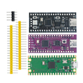 Raspberry Pi Pico Board RP2040: Dual-Core ARM Low-Power Microcomputer1