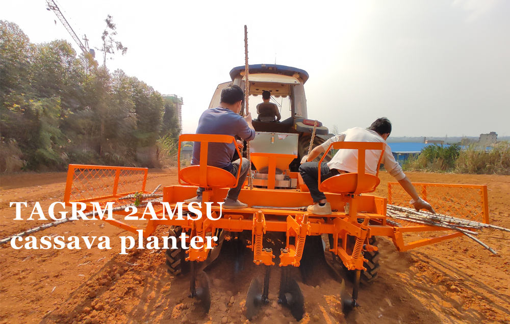 planteuse de manioc au Nigeria