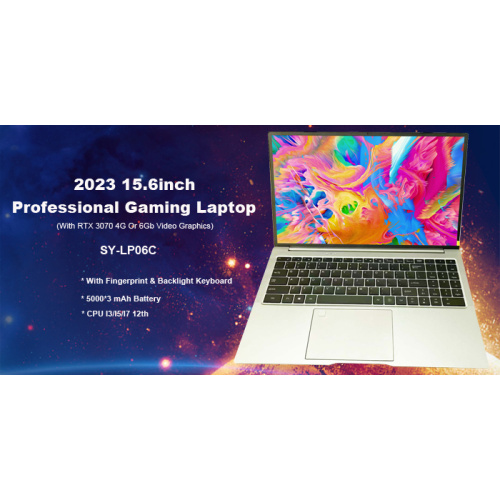 2023 Professionnel 15 pouces Top 10 ordinateurs portables de jeu avec graphiques vidéo RTX3070