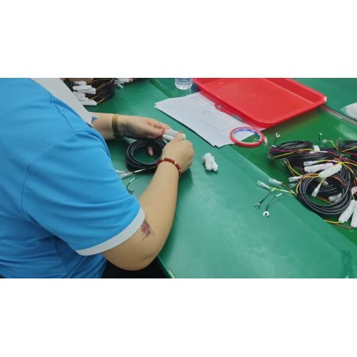 20250815SZXYQ line type production