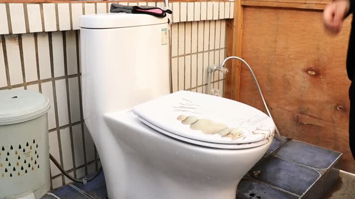 Easy-clean toilet seat 