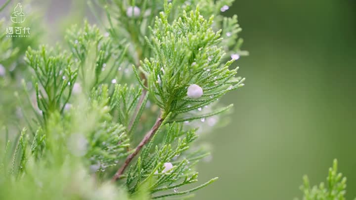 2b83e8861759d5fa433cafaaa8649f0f