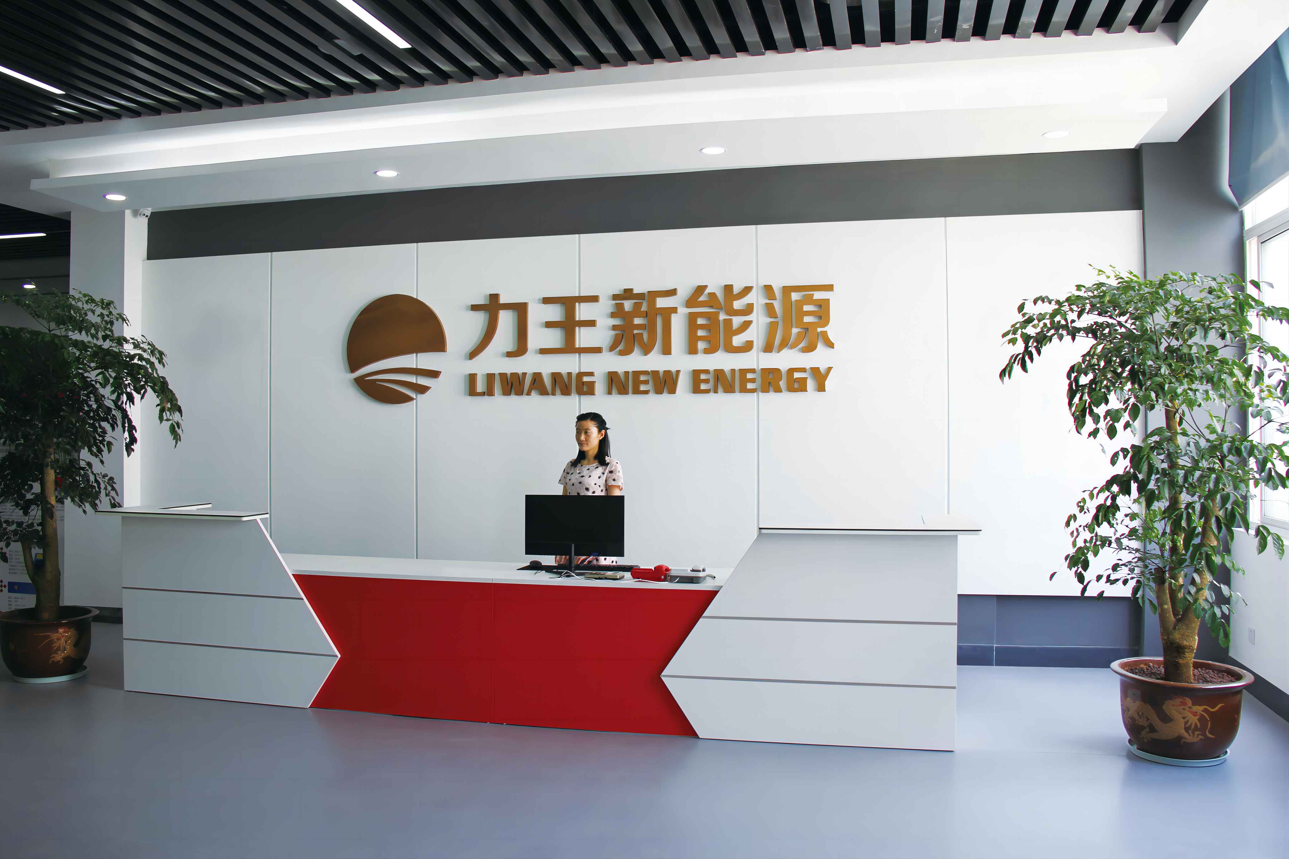 Sichuan Liwang New Energy Technology Co.