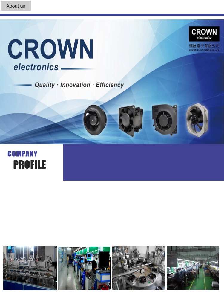 Crown 80x25 Crown 8025 wentylator 10 DC wentylator