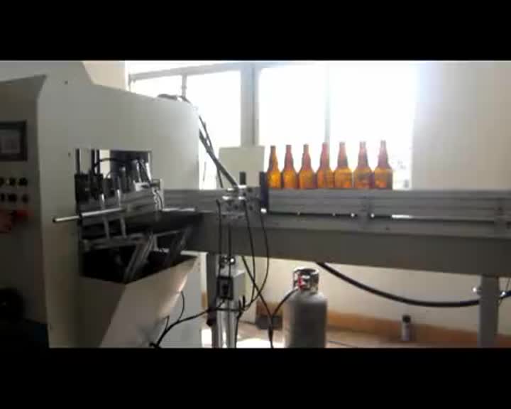 SC1524 beer bottle printing