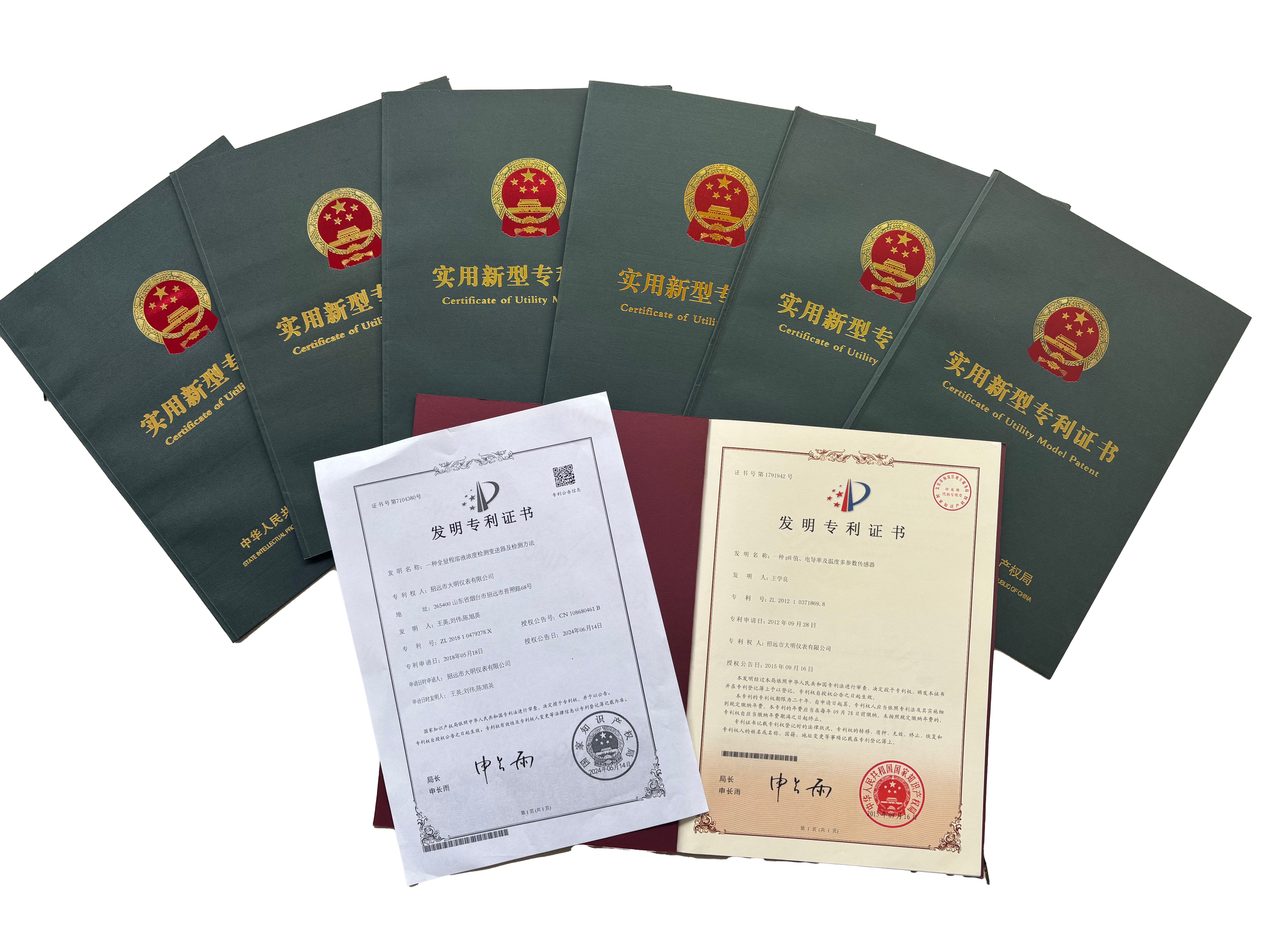 Patent Certificate 2