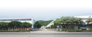 Company introduction