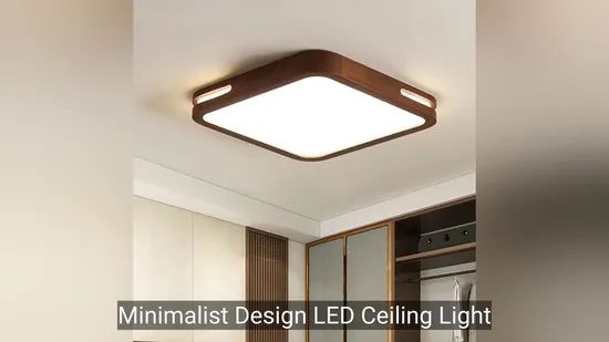 Diseño minimalista Luz de techo LED para casas modernas1