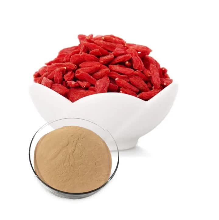 Polvere di bacche di wolfberry goji