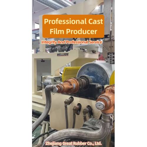 Producător profesionist de film cu distribuție
