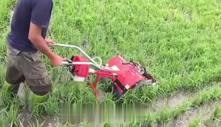 rice weeding wheel working video.mp4