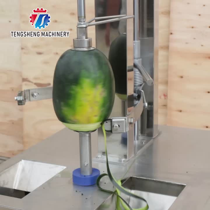 Máquina automática para descascar e cunhar abóbora TS-PF80