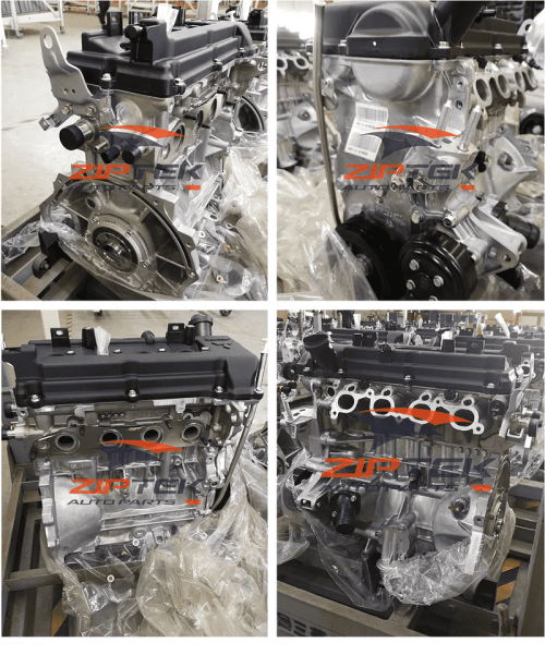 A estrutura e a função do motor nu