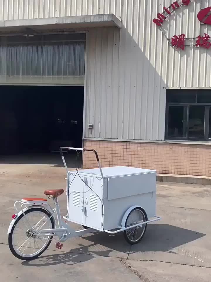 Caminhões de sorvete para vender trailer alimentos móveis alimentos elétricos de três rodas Gerador de geladeira geladeira freezer1 Freezer1