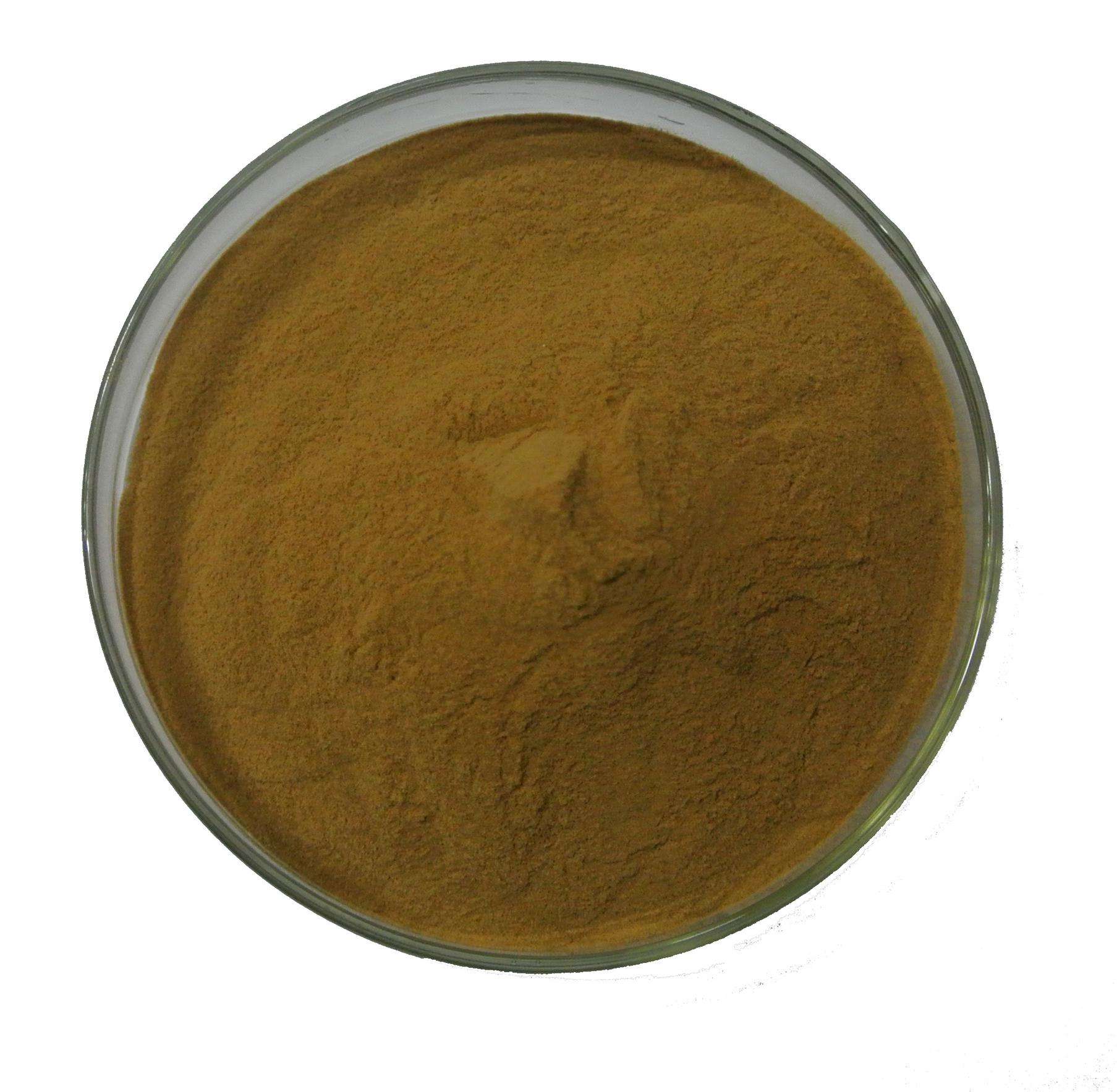 Amomum Villosum Extract