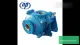 NAIPU OEN Design Driven Style CVLZ 6-4 D-Y225s Pump