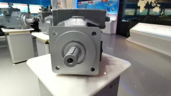 Rexroth Axialkolbenvariable Pumpe A4VSO 250 Serie Hydraulikkolbenpumpe für Industriemaschinen11