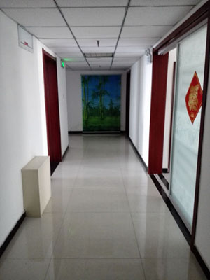 Shijiazhuang Hongmeida Co., Ltd.