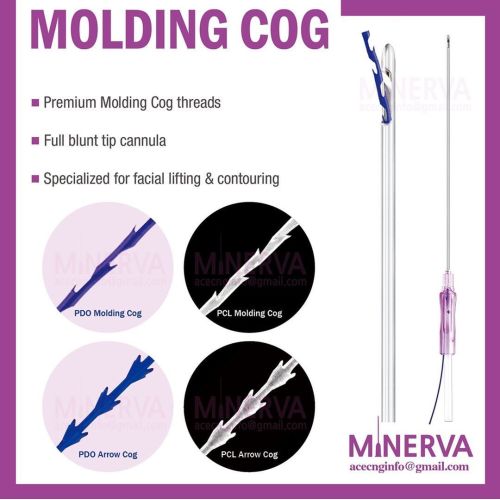 Minerva Molding Cog