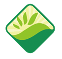 Kunming Fengyu Trading Co., Ltd.