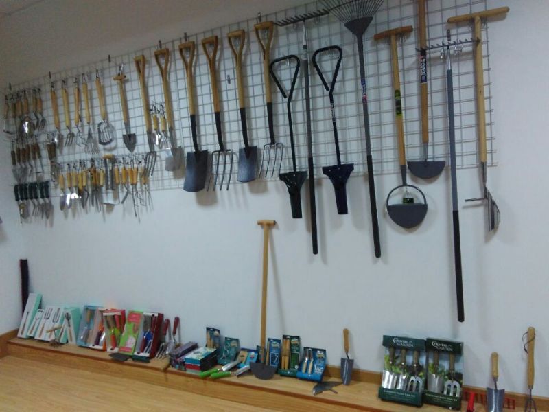 Richina Ltd.