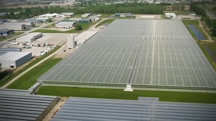 Agricultural greenhouse