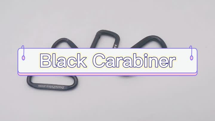 Black Carabiner
